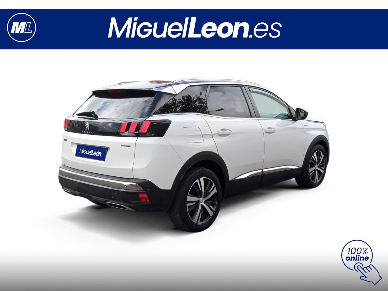 Foto Peugeot 3008 5