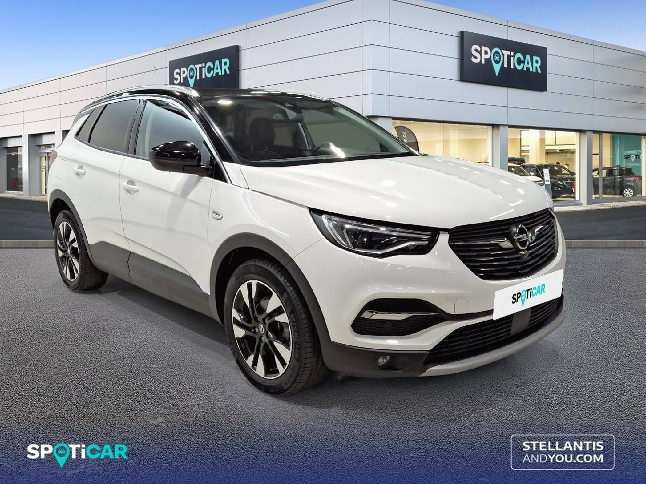 Foto Opel Grandland X 3