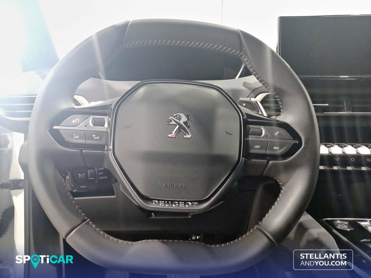 Foto Peugeot 3008 14