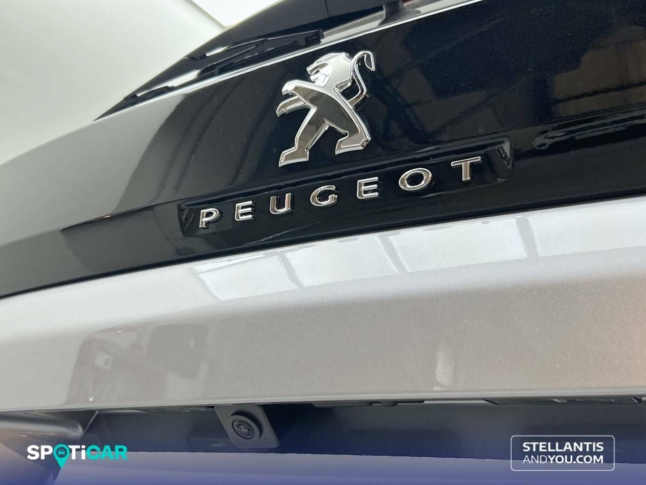Foto Peugeot 3008 24