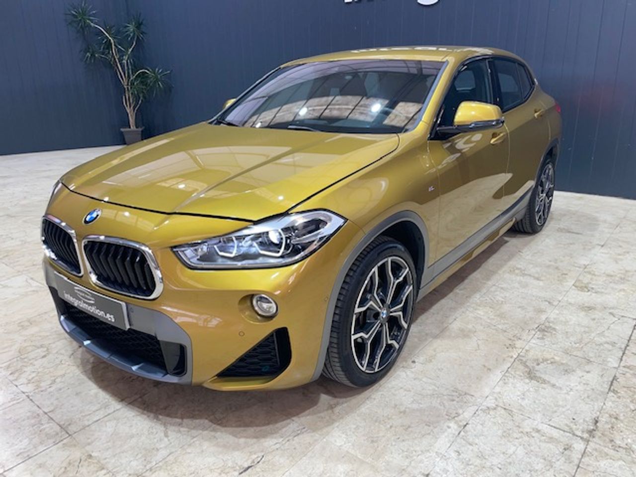 Foto BMW X2 11