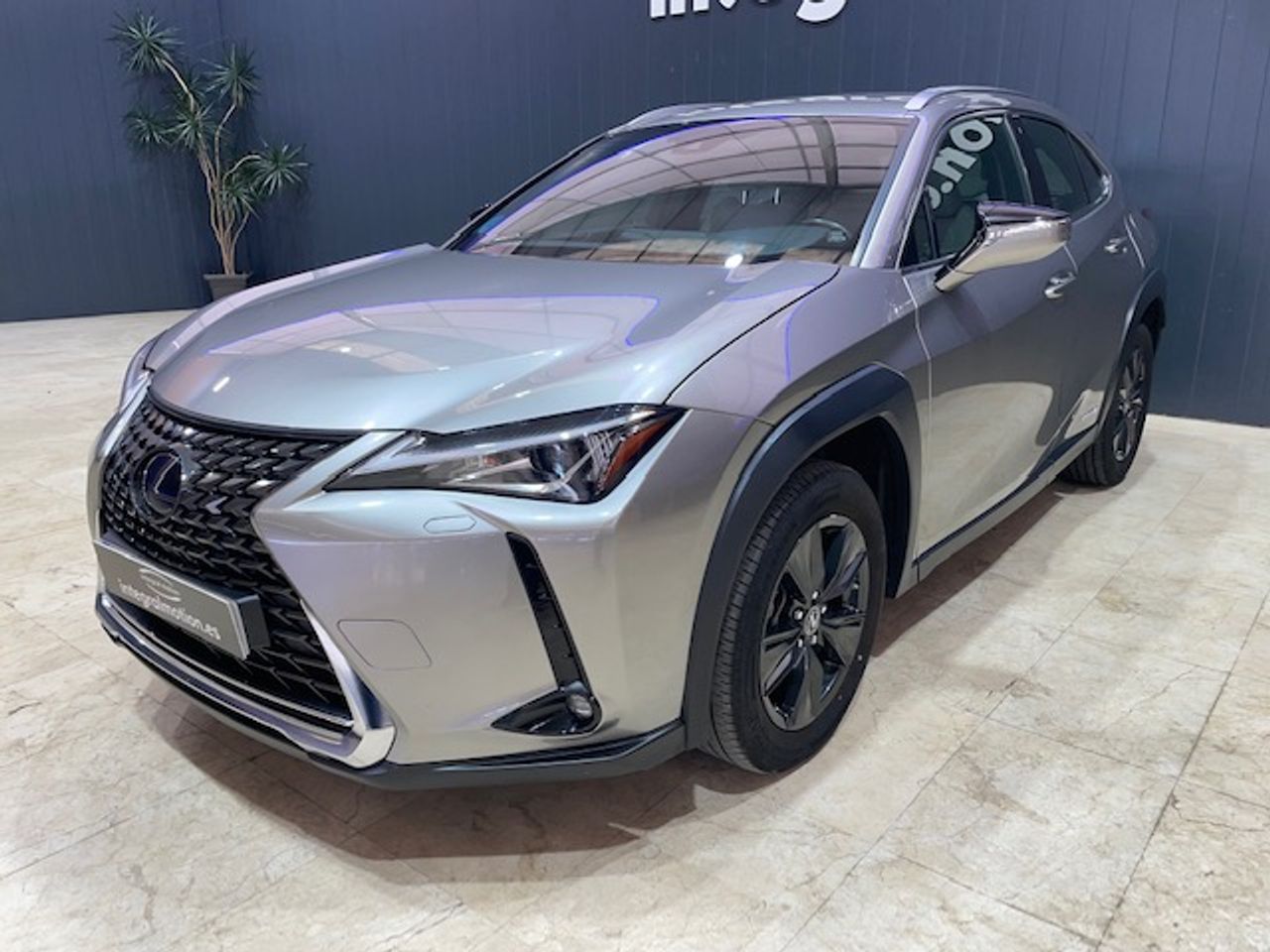 Foto Lexus UX 12