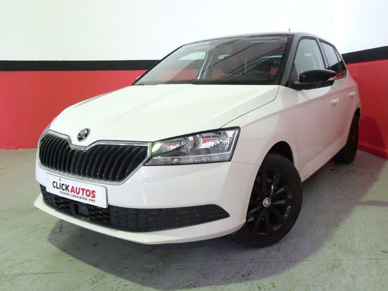 Foto Skoda Fabia 1