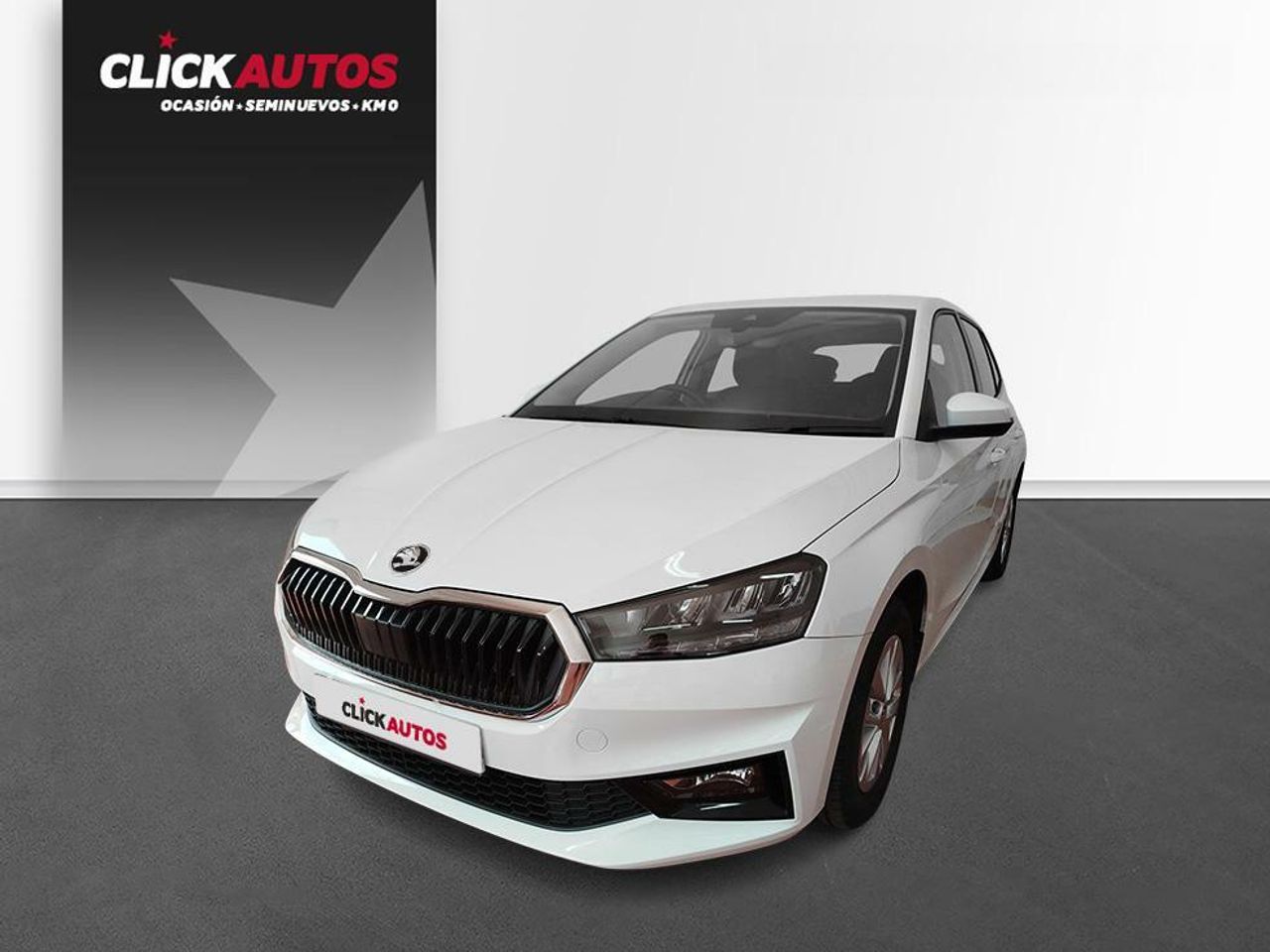 Foto Skoda Fabia 1