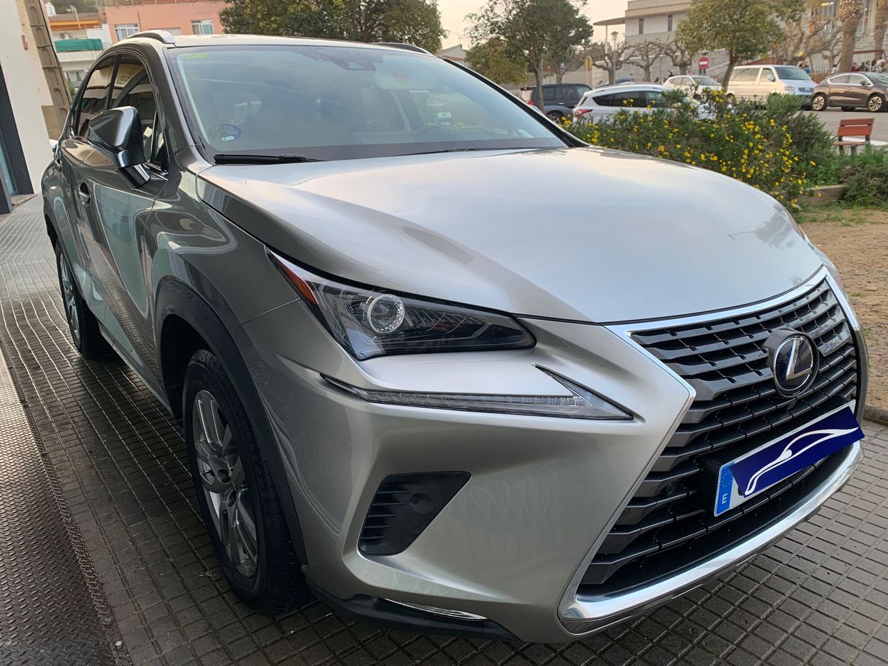 Foto Lexus NX 3