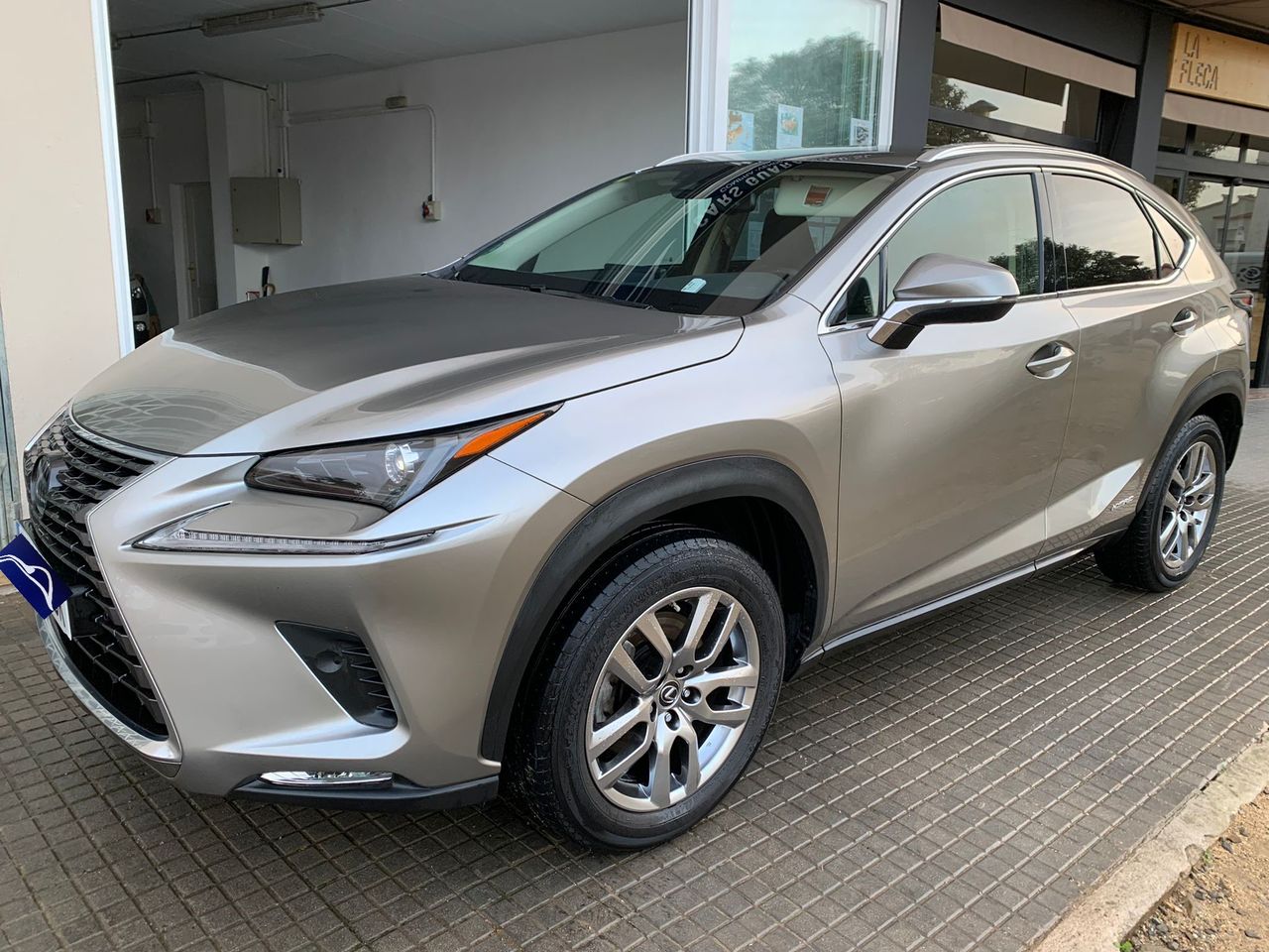 Foto Lexus NX 12