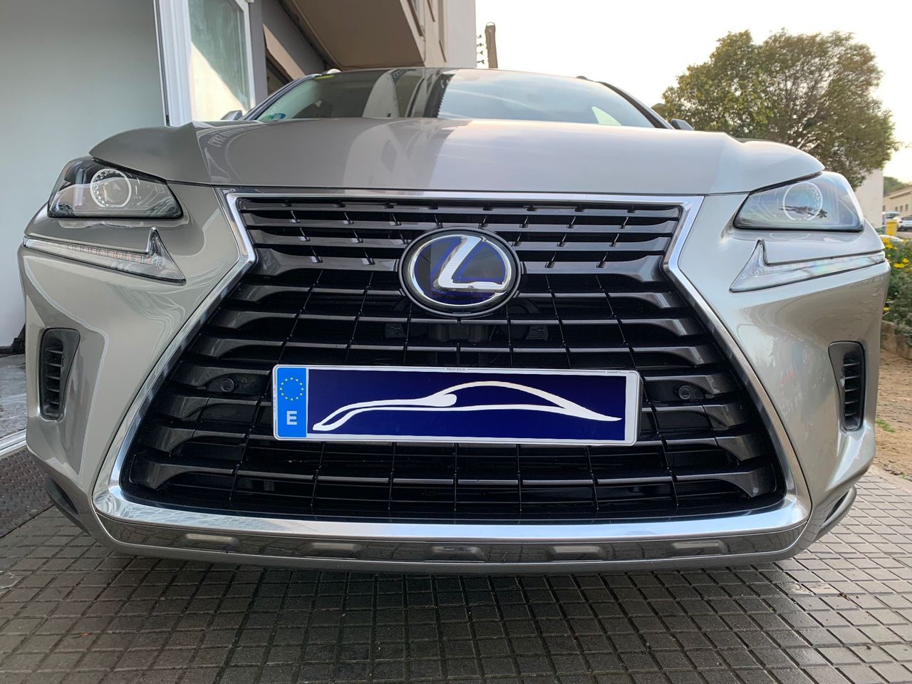 Foto Lexus NX 13