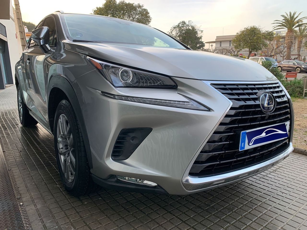 Foto Lexus NX 14