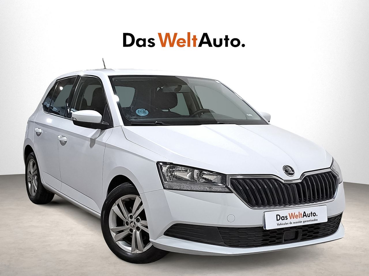 Foto Skoda Fabia 1