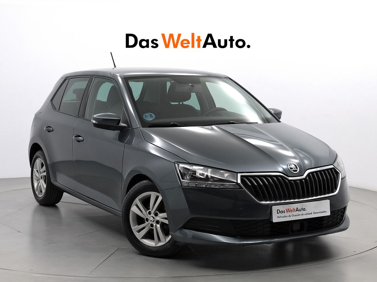 Foto Skoda Fabia 1