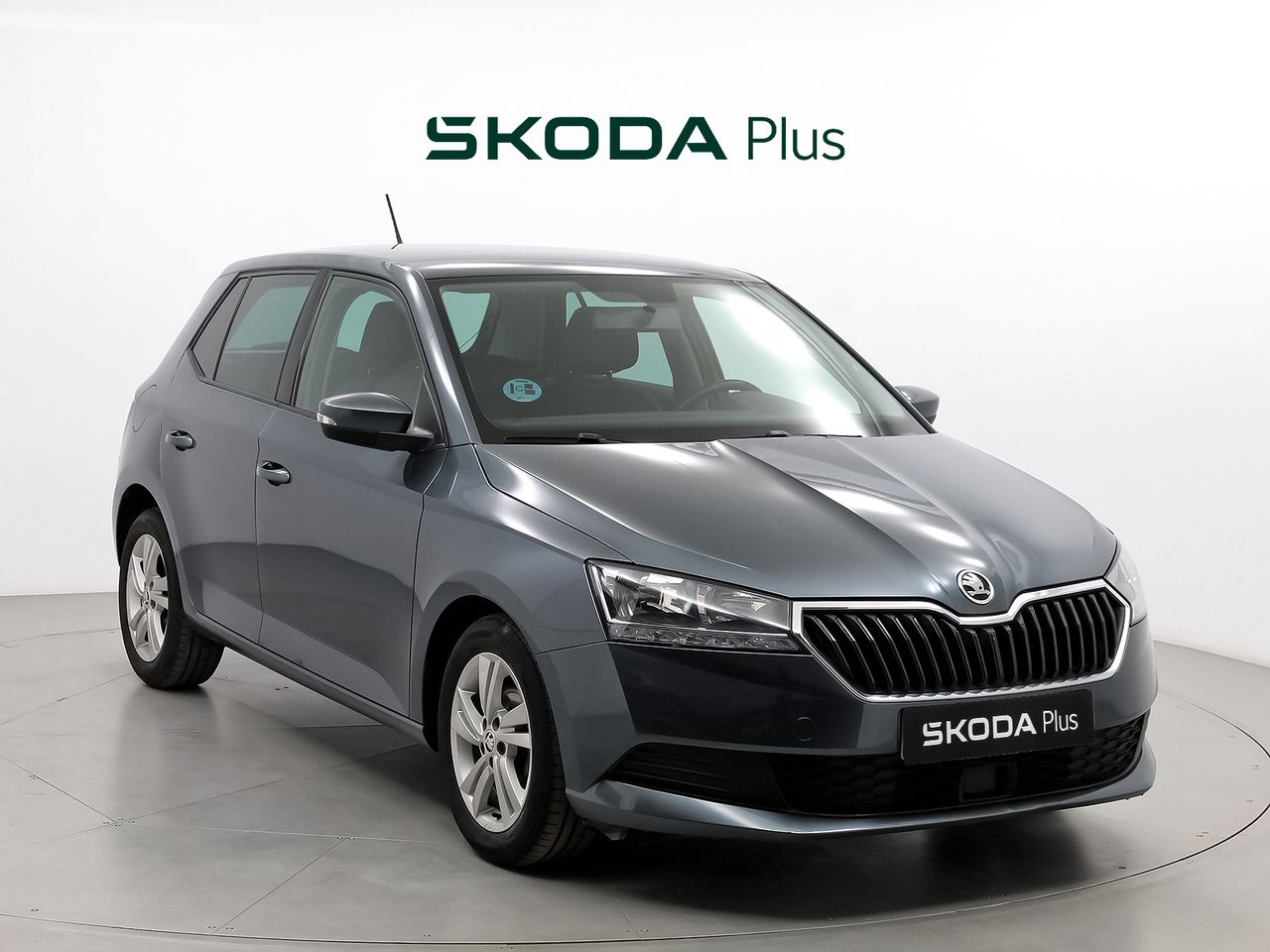 Foto Skoda Fabia 1