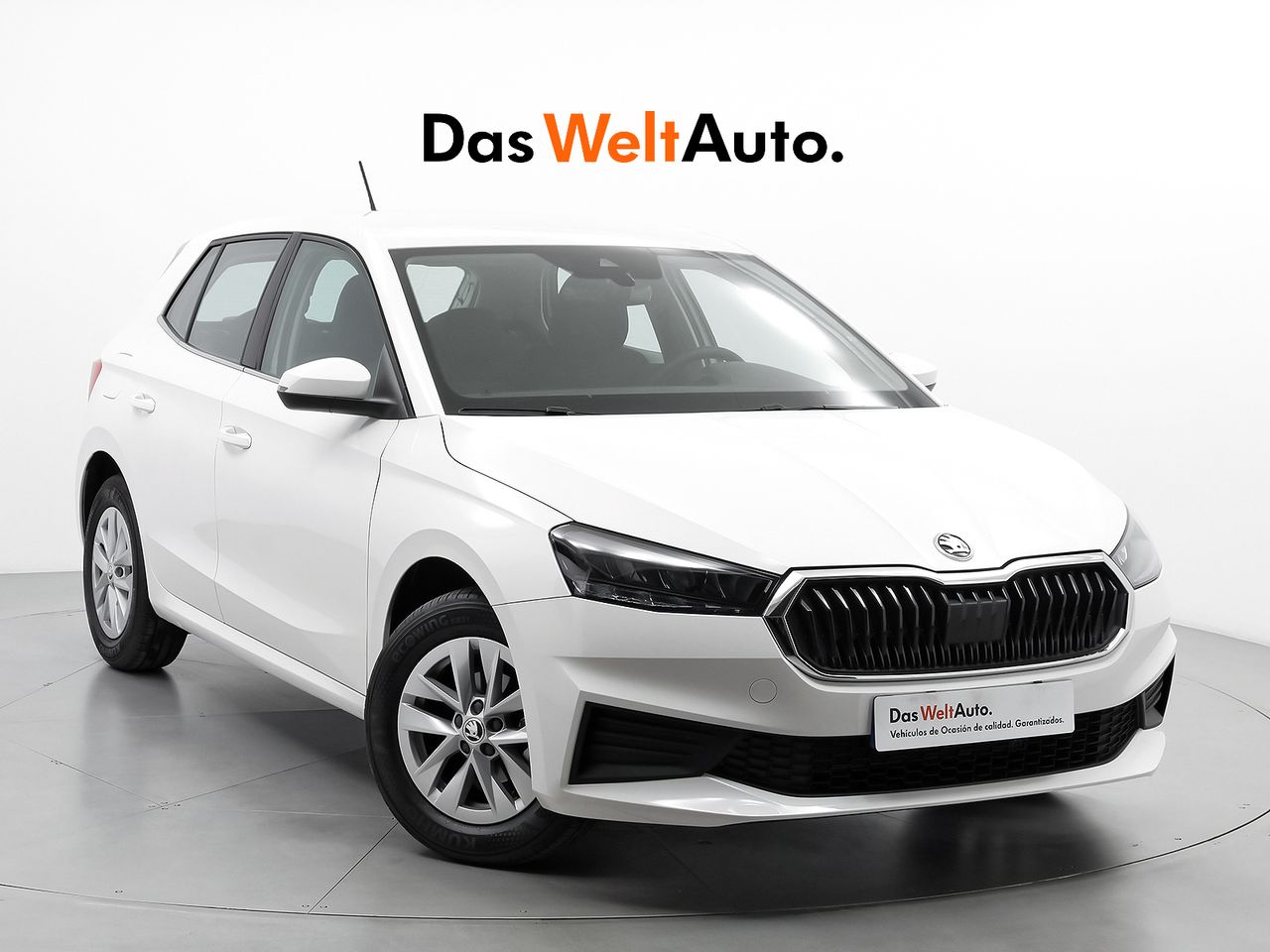 Foto Skoda Fabia 1