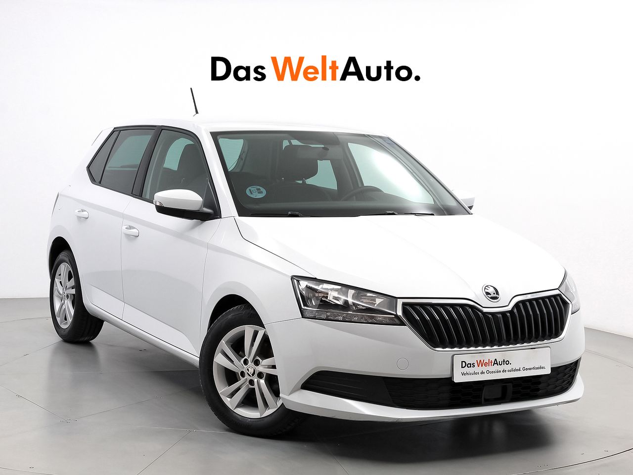 Foto Skoda Fabia 1