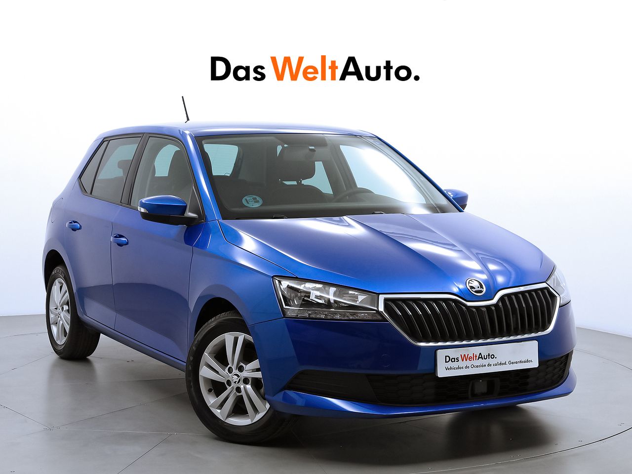 Foto Skoda Fabia 1