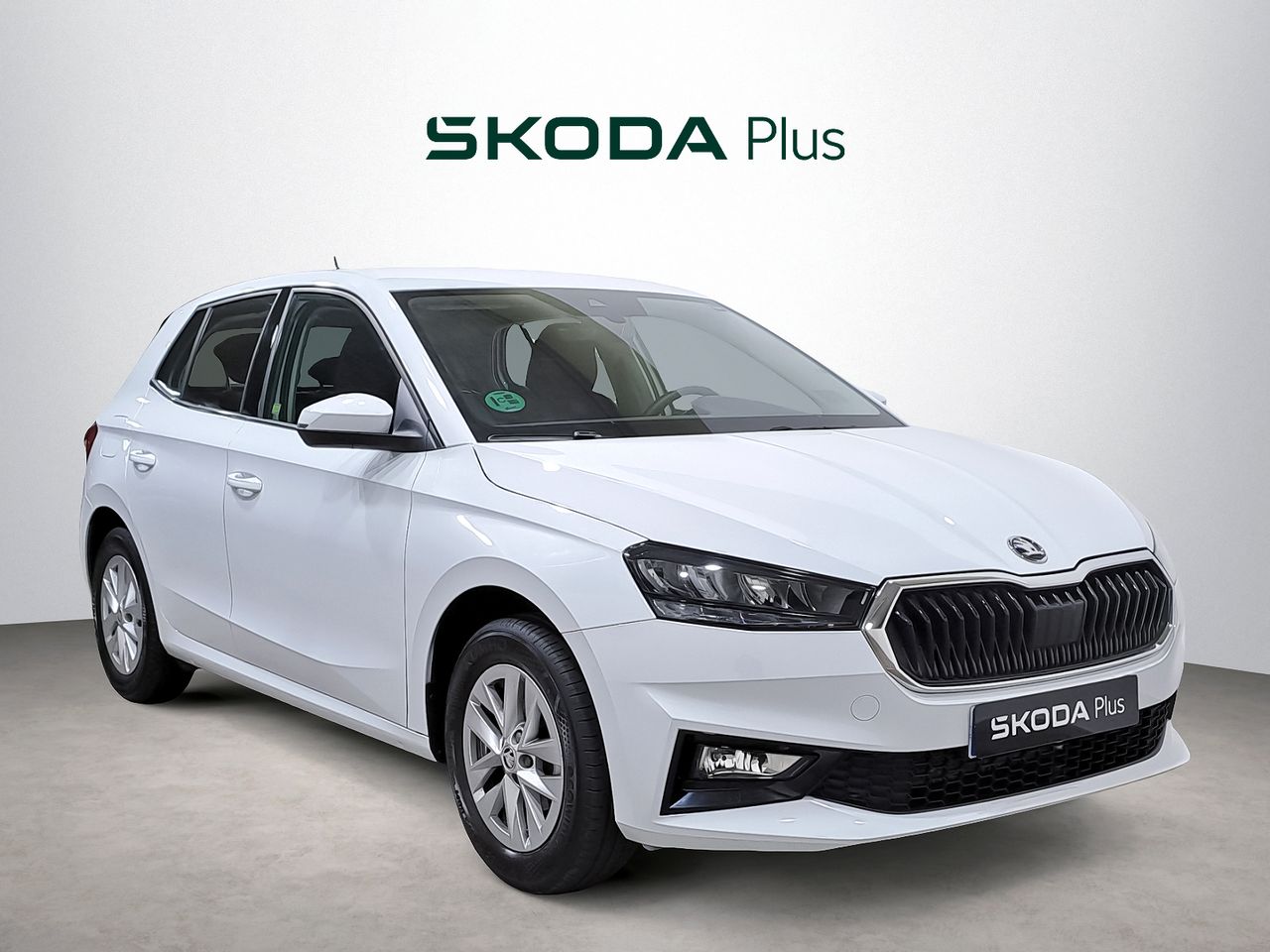 Foto Skoda Fabia 1