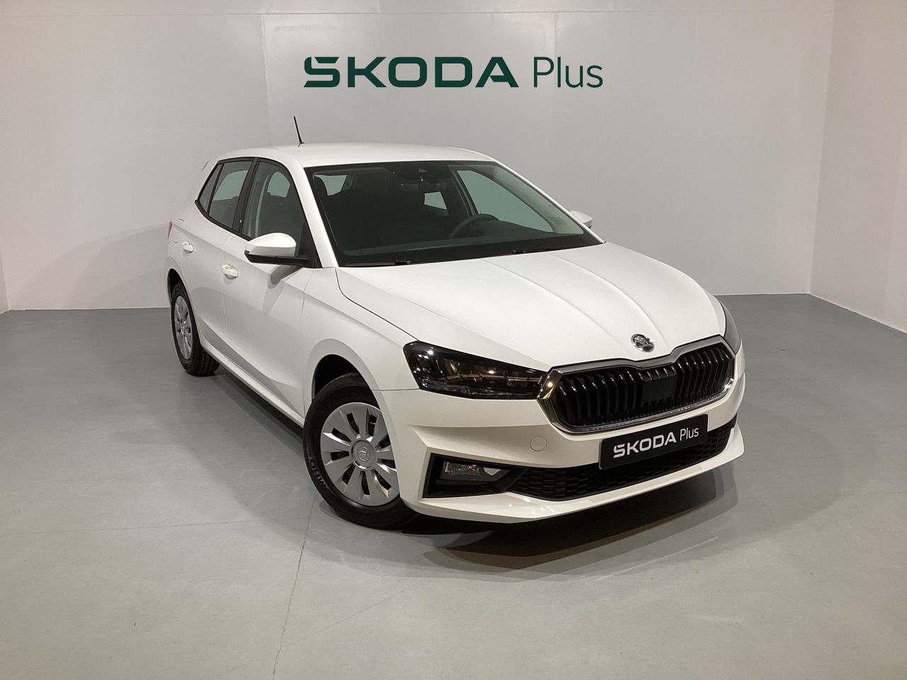 Foto Skoda Fabia 1