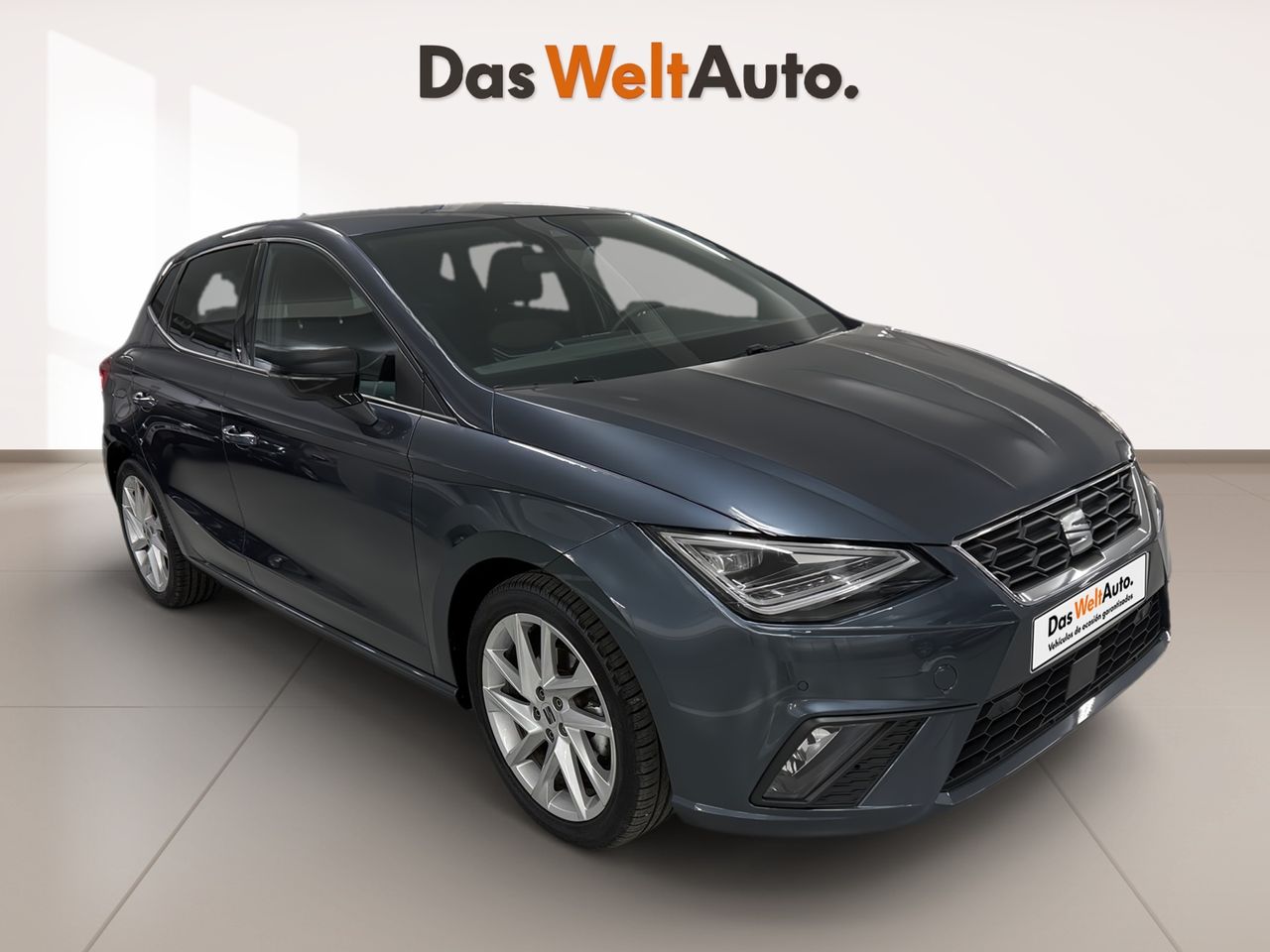 Foto Seat Ibiza 1