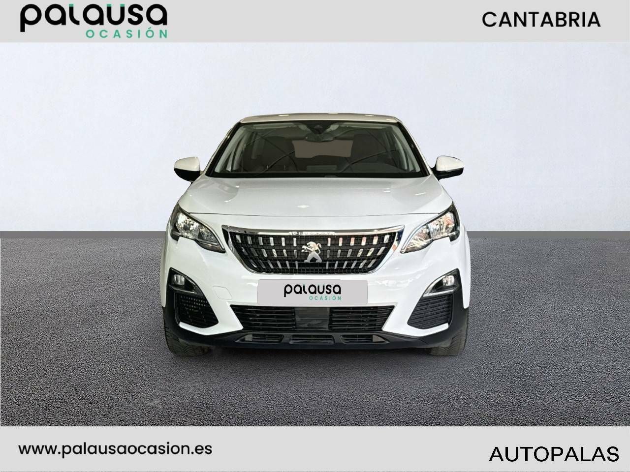 Foto Peugeot 3008 2