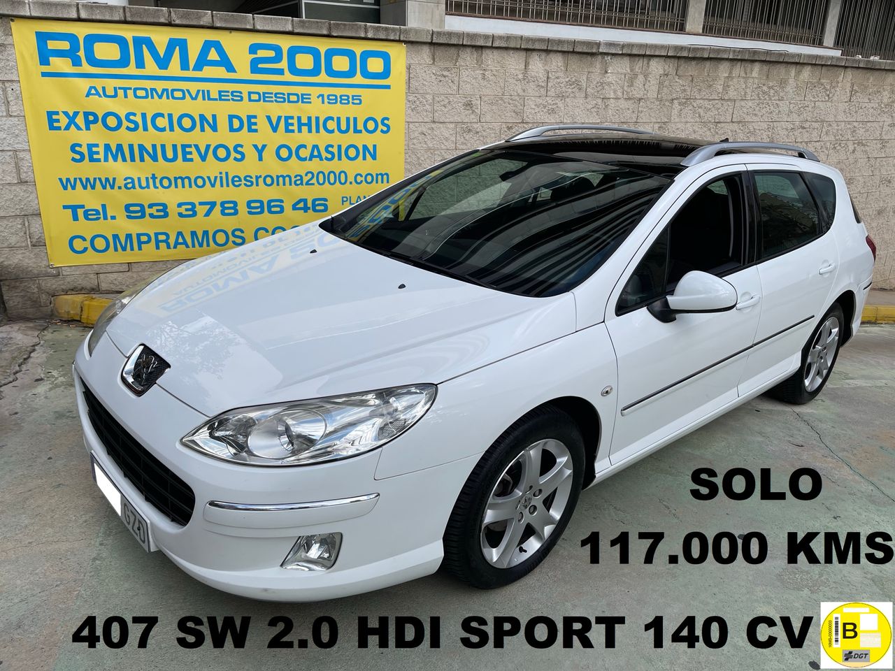 Foto Peugeot 407 SW 1