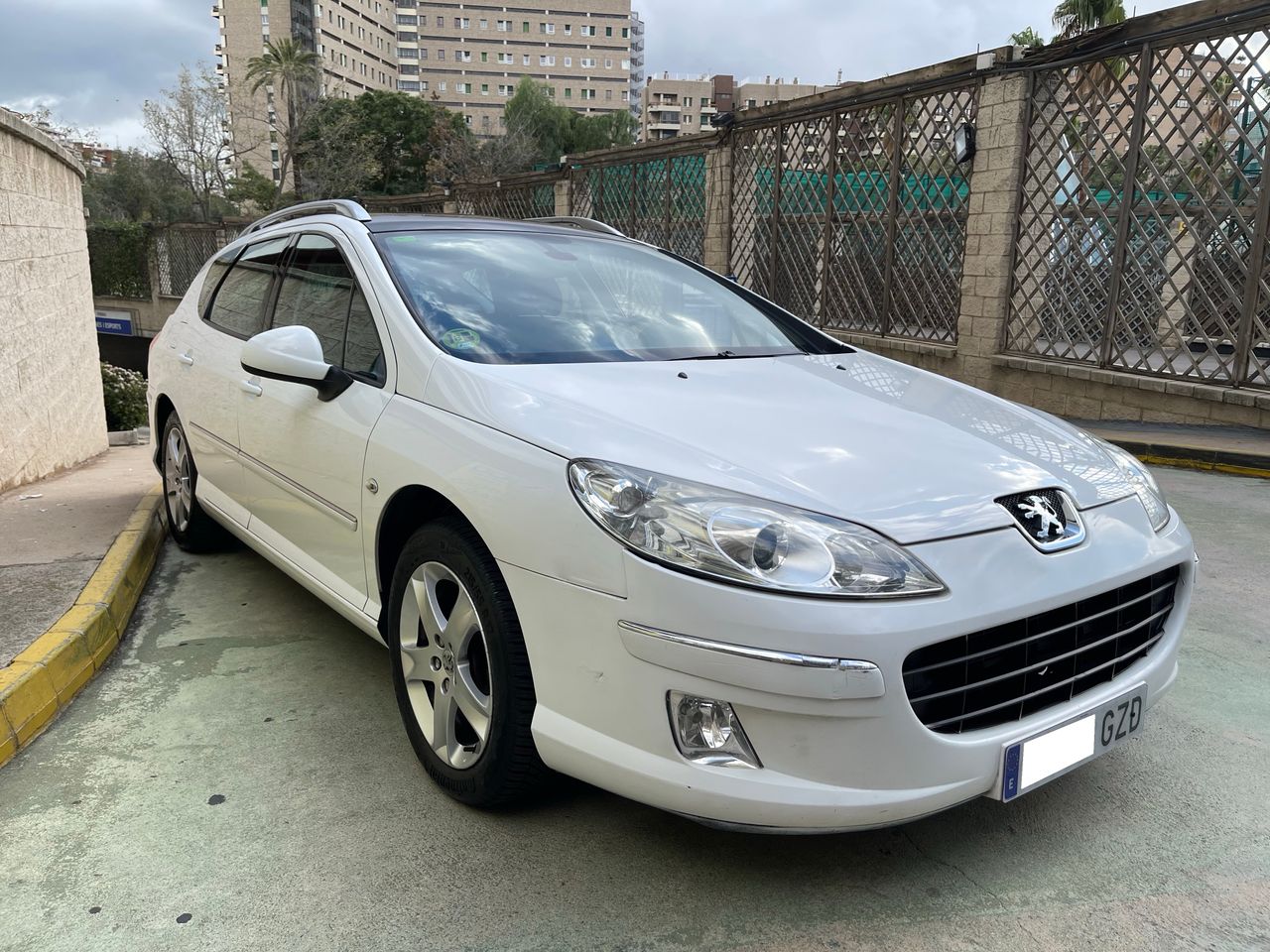 Foto Peugeot 407 SW 3