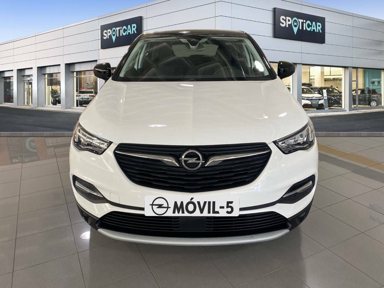 Foto Opel Grandland X 2