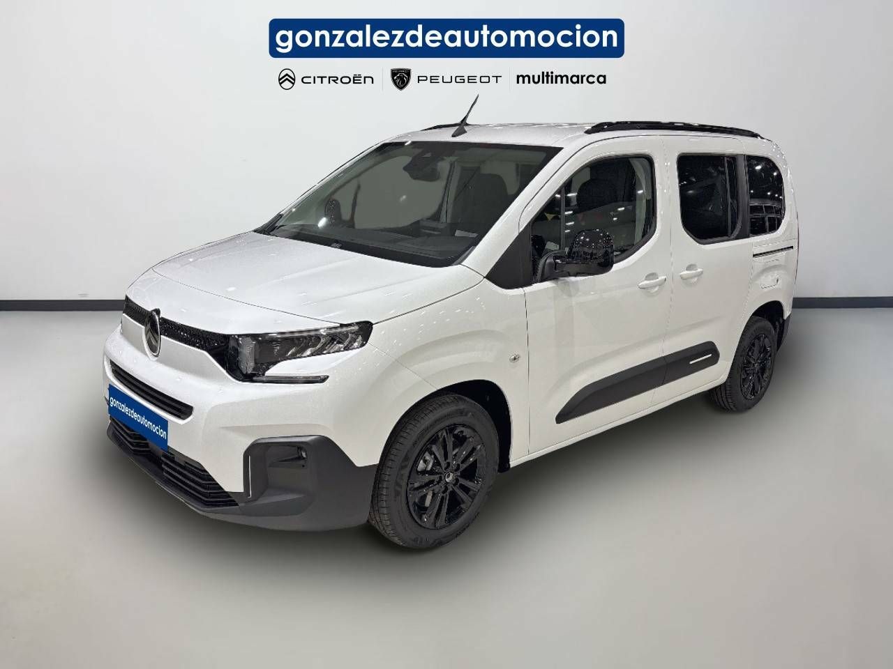 Foto Citroën Berlingo 1