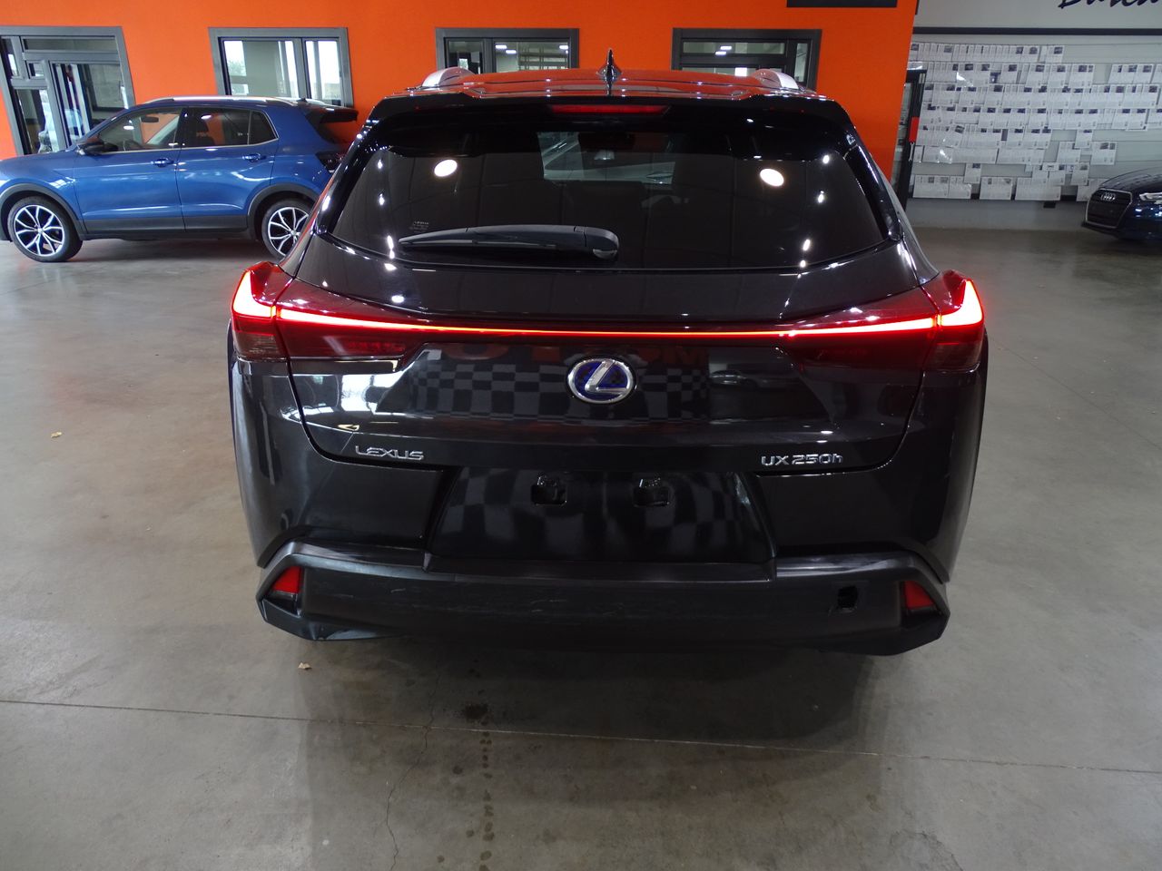 Foto Lexus UX 6