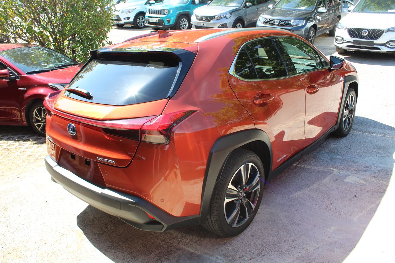 Foto Lexus UX 6