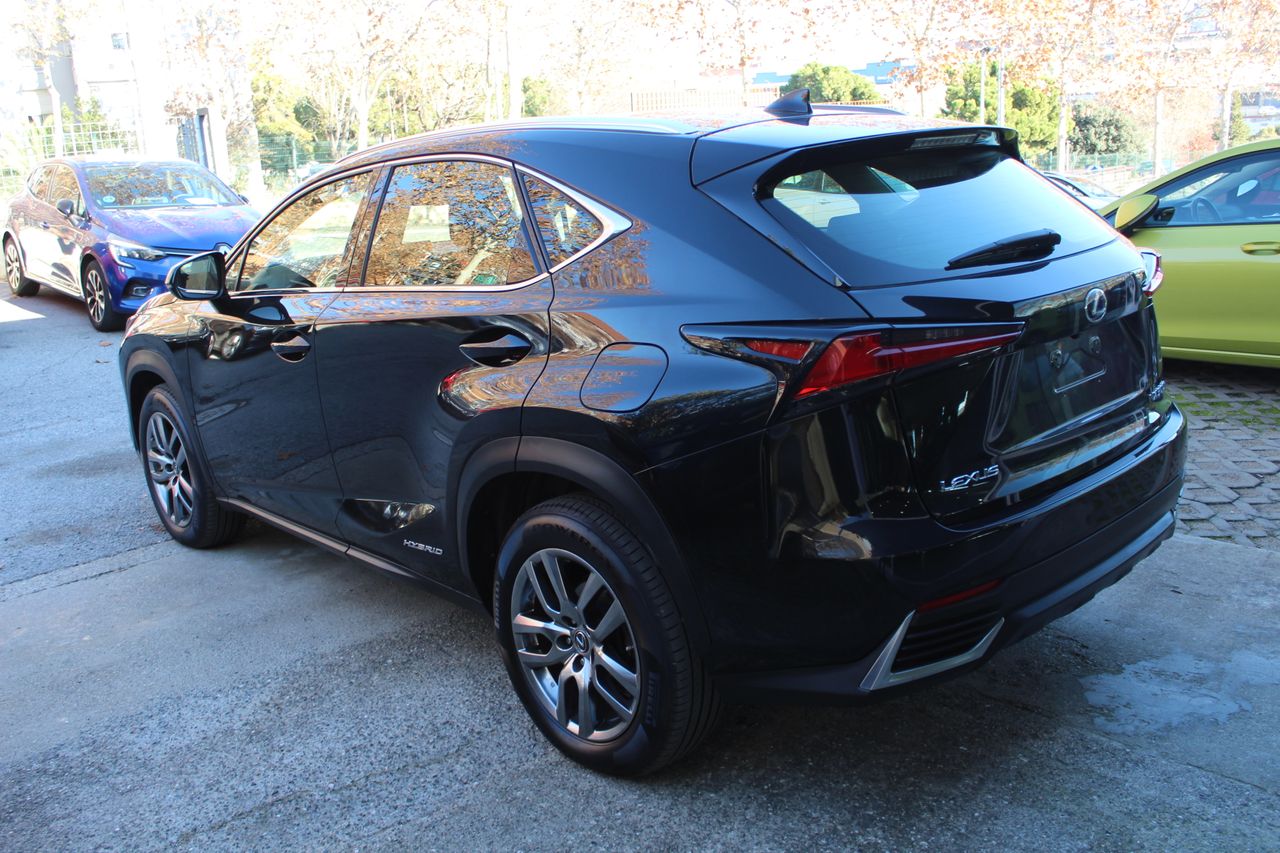 Foto Lexus NX 5