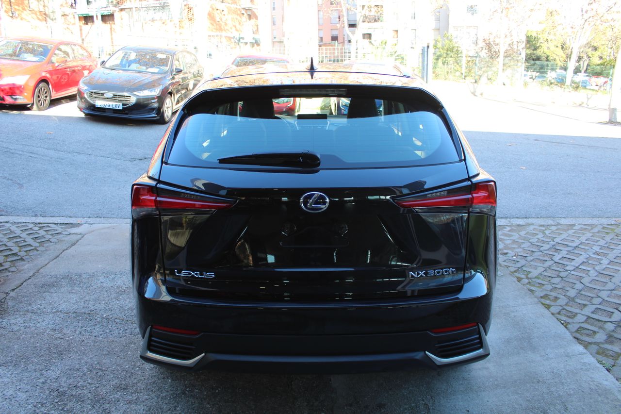 Foto Lexus NX 6