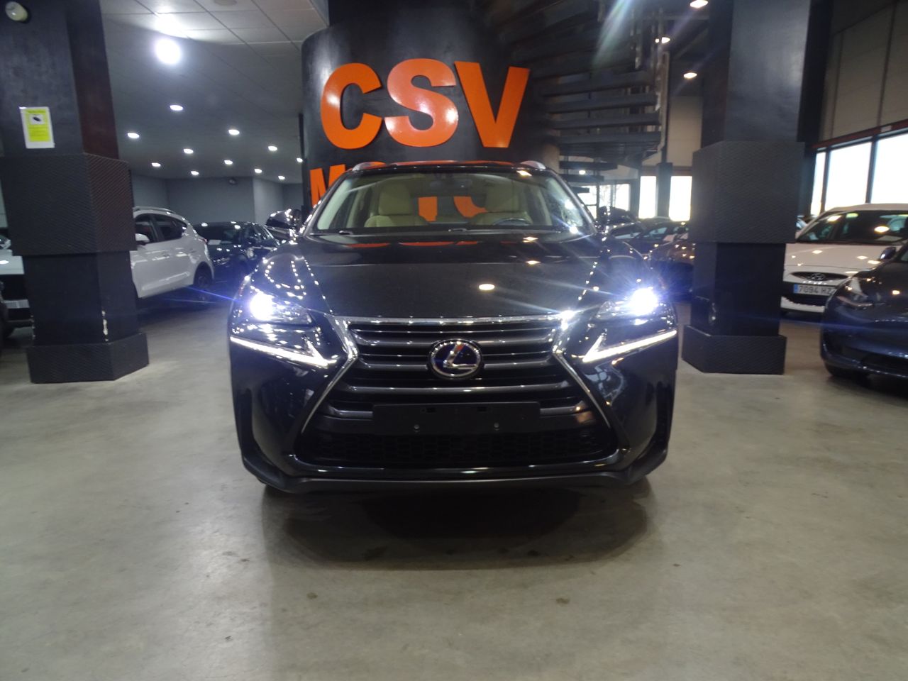 Foto Lexus NX 28