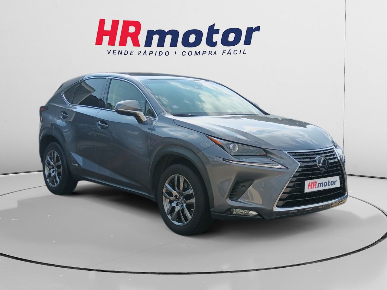 Foto Lexus NX 1