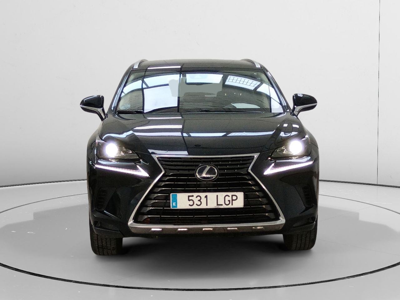 Foto Lexus NX 5