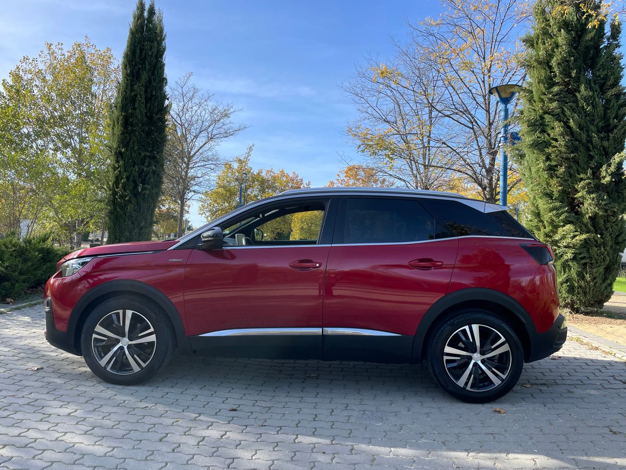 Foto Peugeot 3008 5