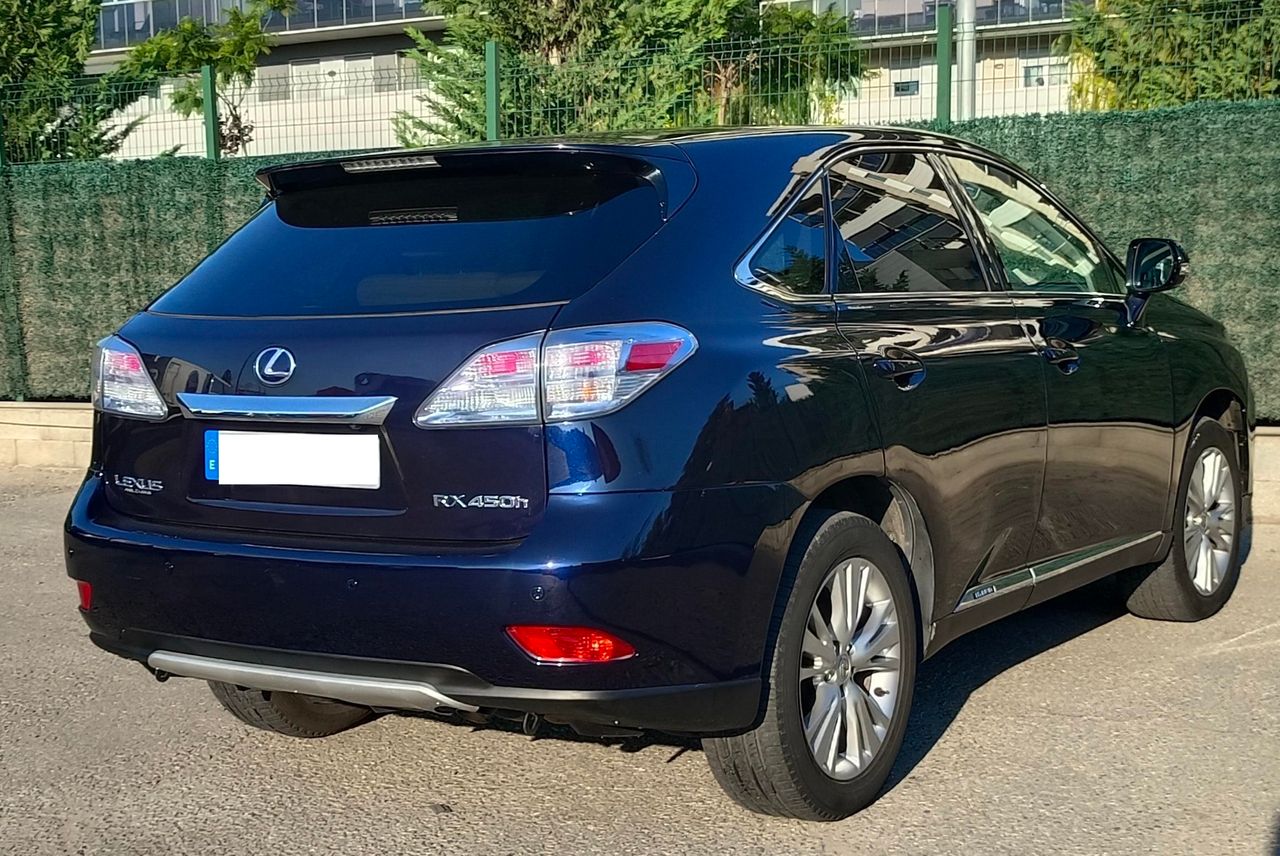 Foto Lexus RX 14