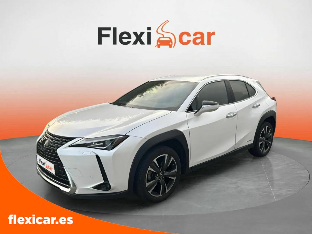 Foto Lexus UX 12