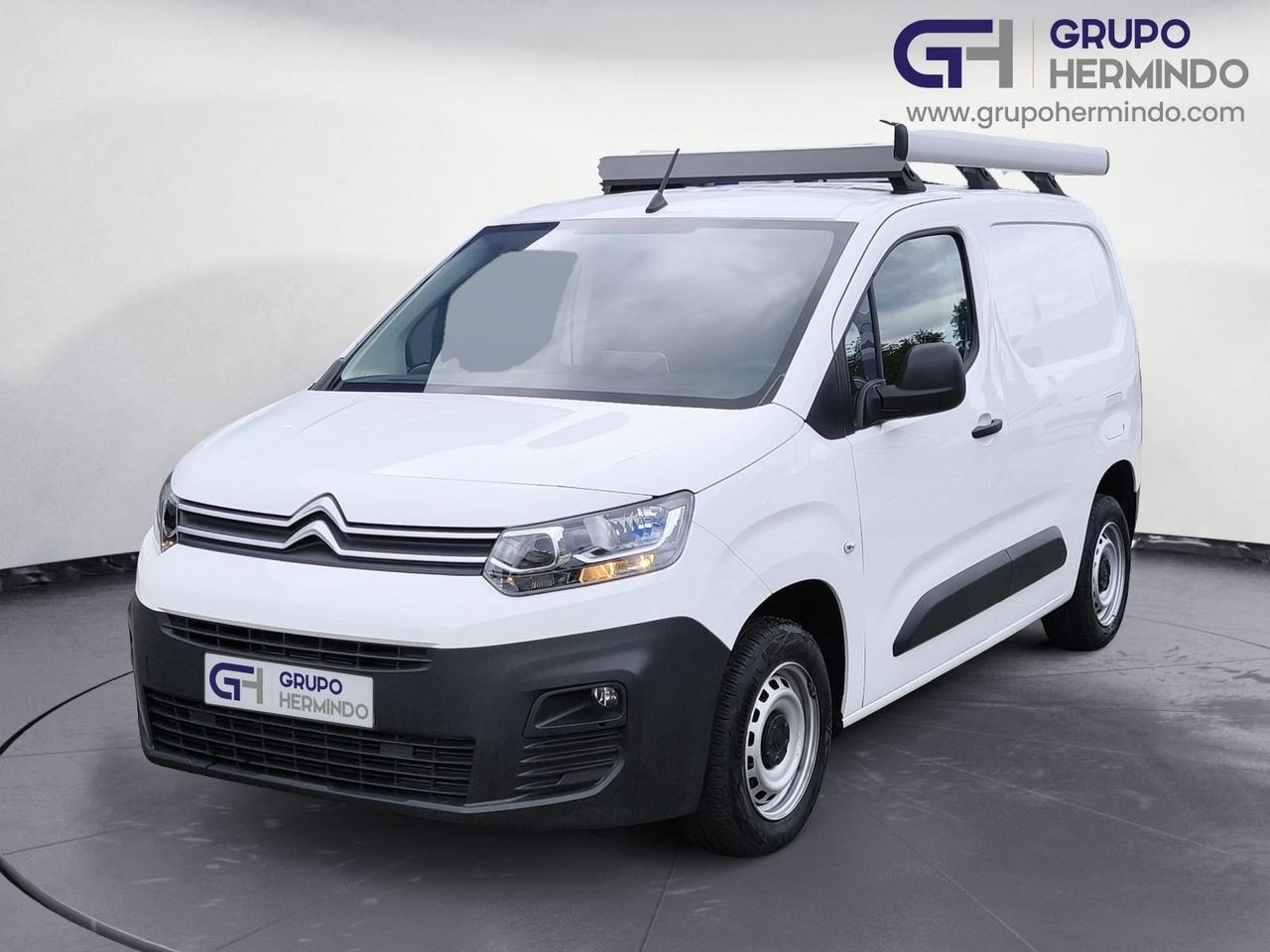 Foto Citroën Berlingo  Furgon 1