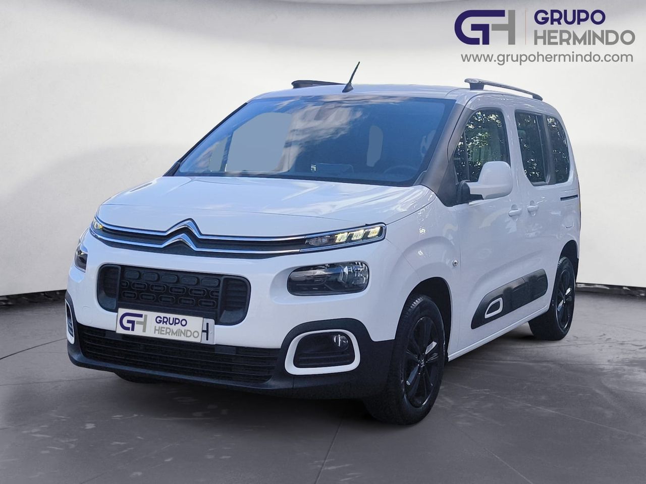 Foto Citroën Berlingo 1