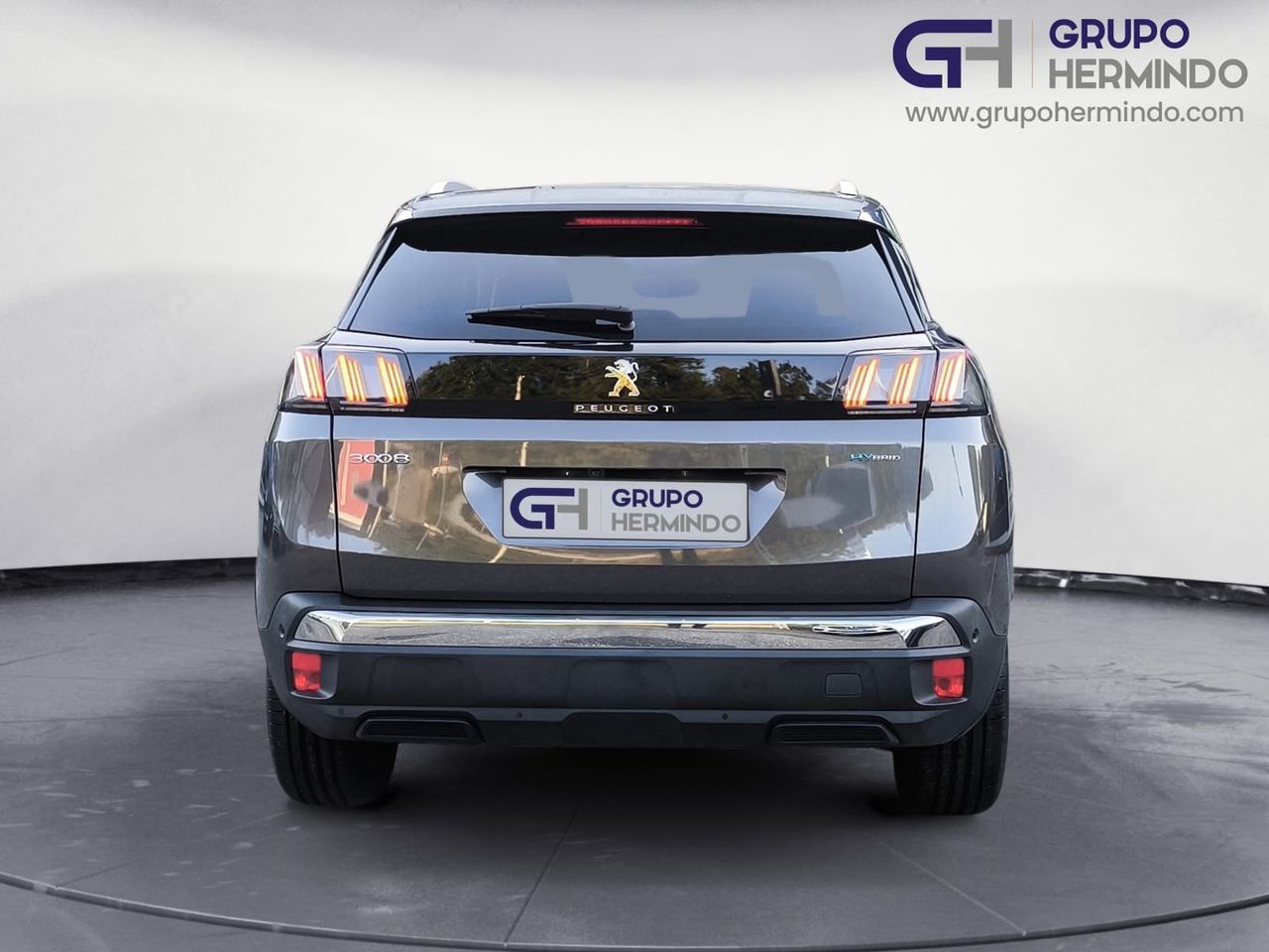 Foto Peugeot 3008 8