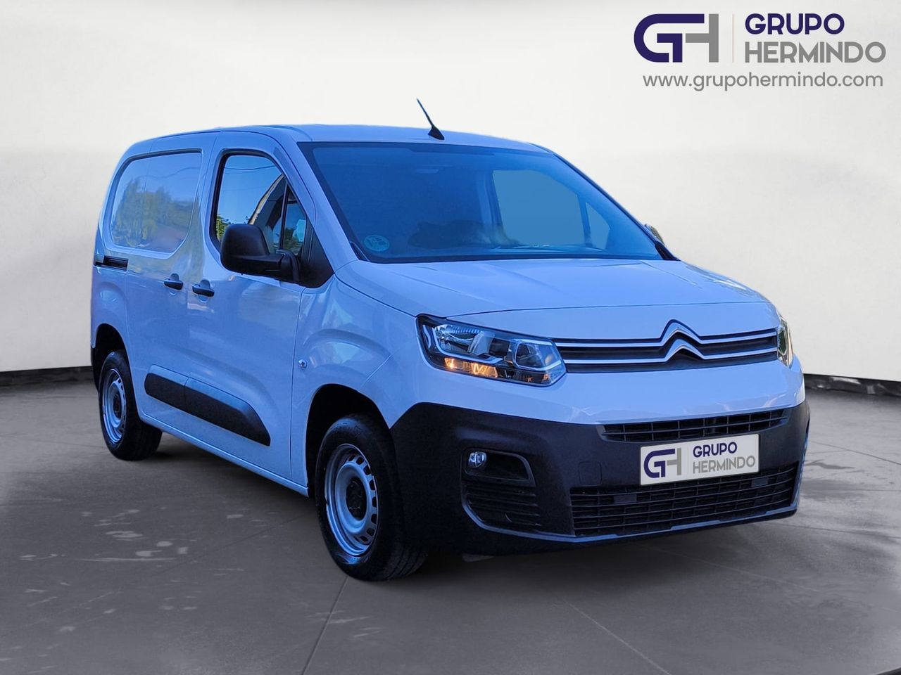 Foto Citroën Berlingo  Furgon 21