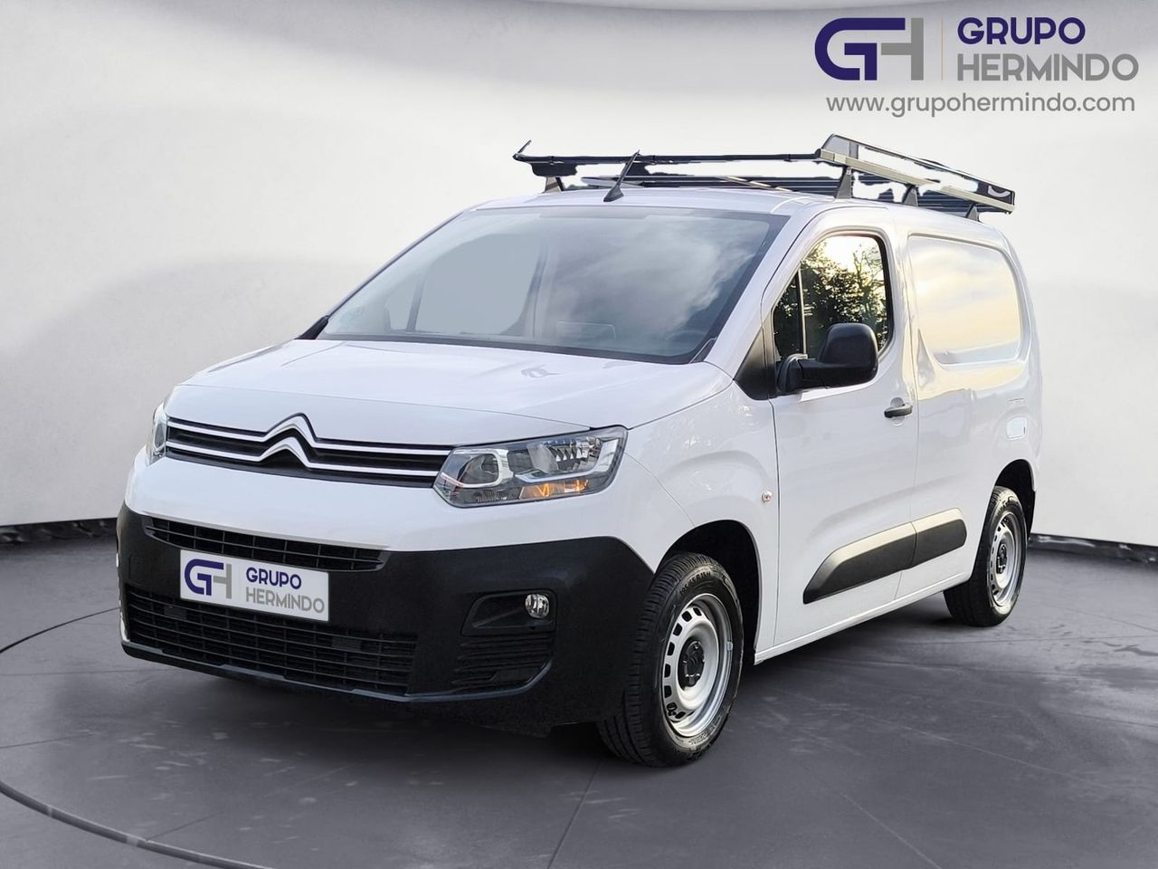 Foto Citroën Berlingo  Furgon 1