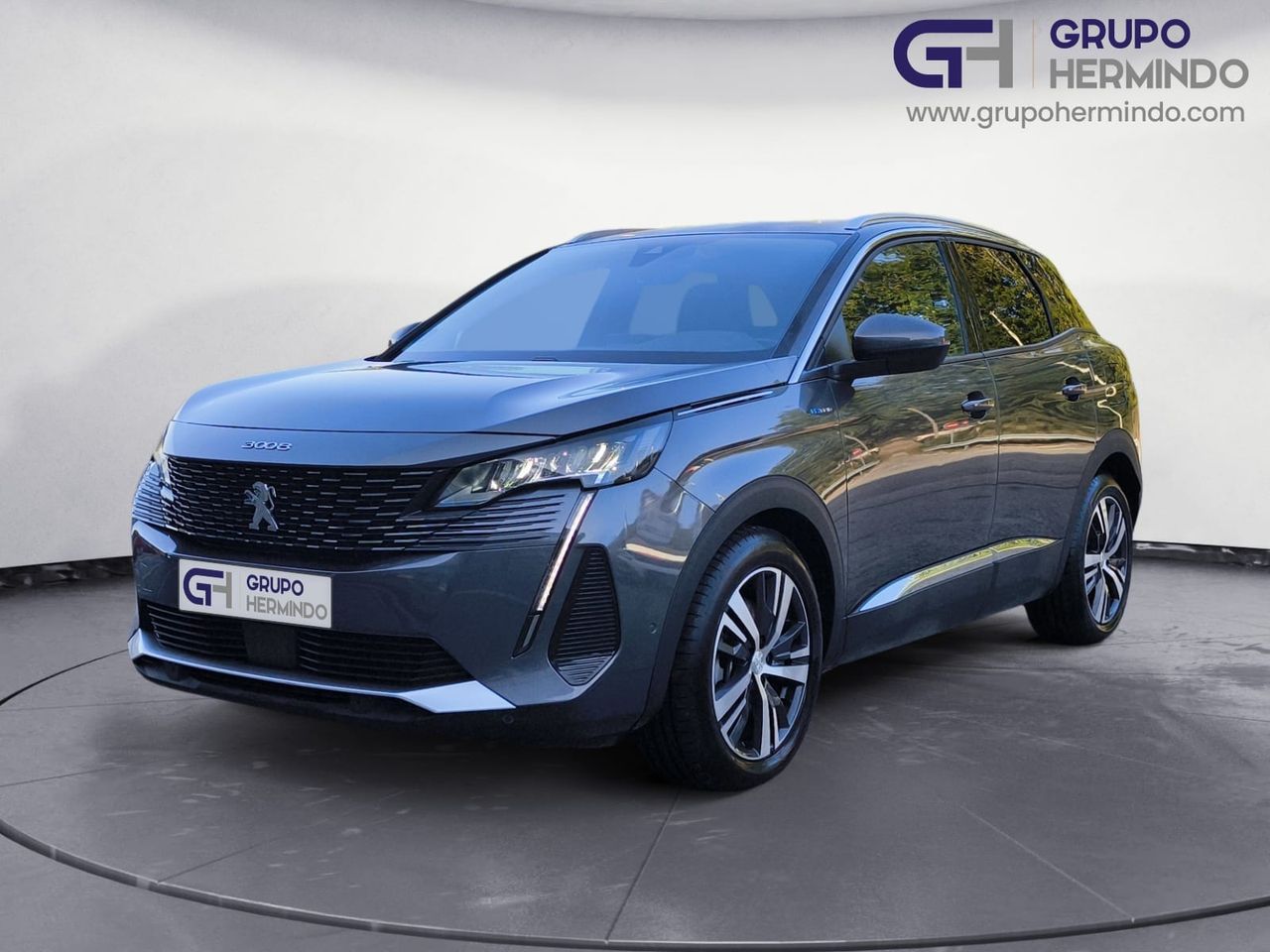 Foto Peugeot 3008 1