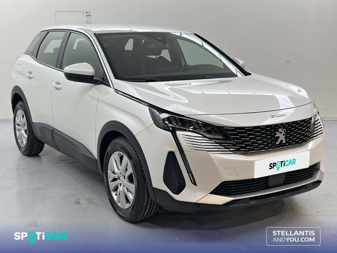 Foto Peugeot 3008 3