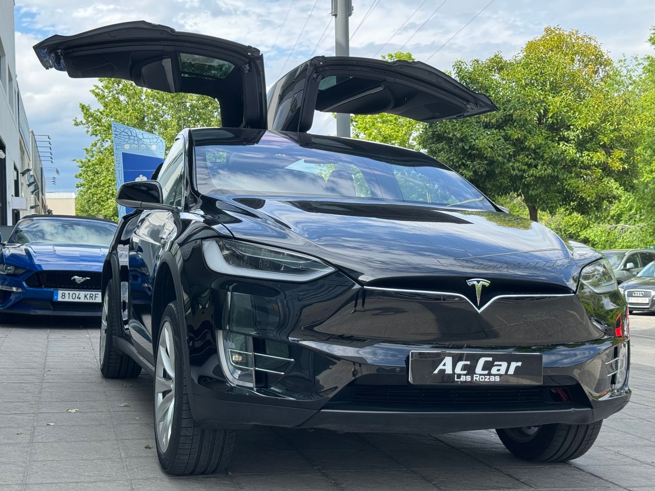 Foto Tesla Model X 15