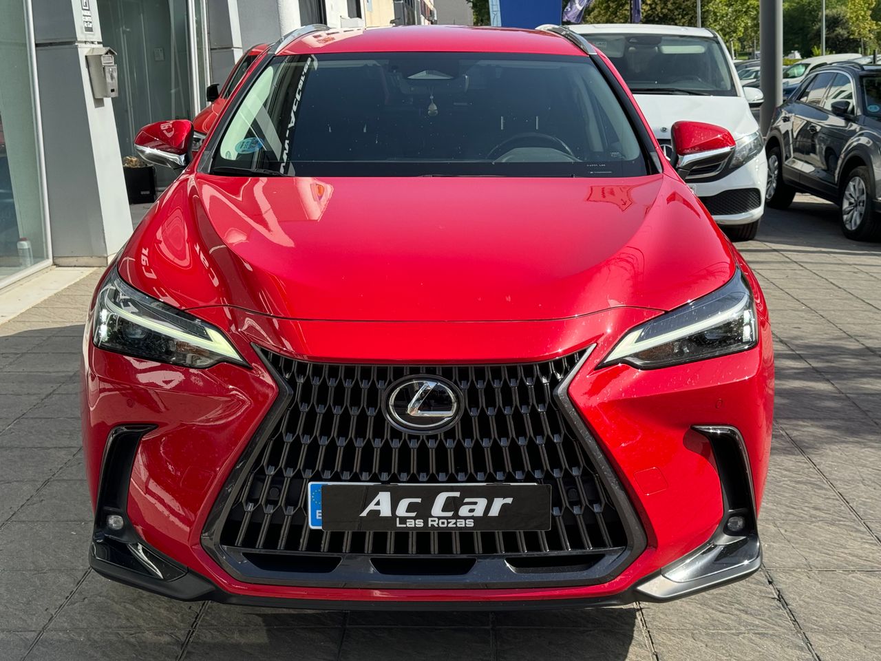 Foto Lexus NX 15