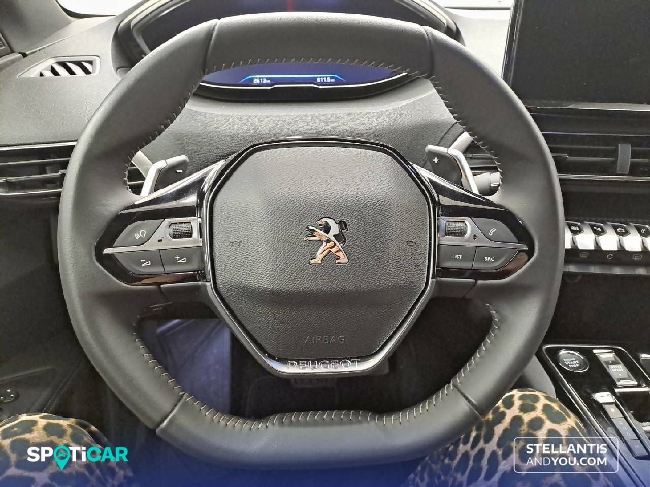 Foto Peugeot 3008 13