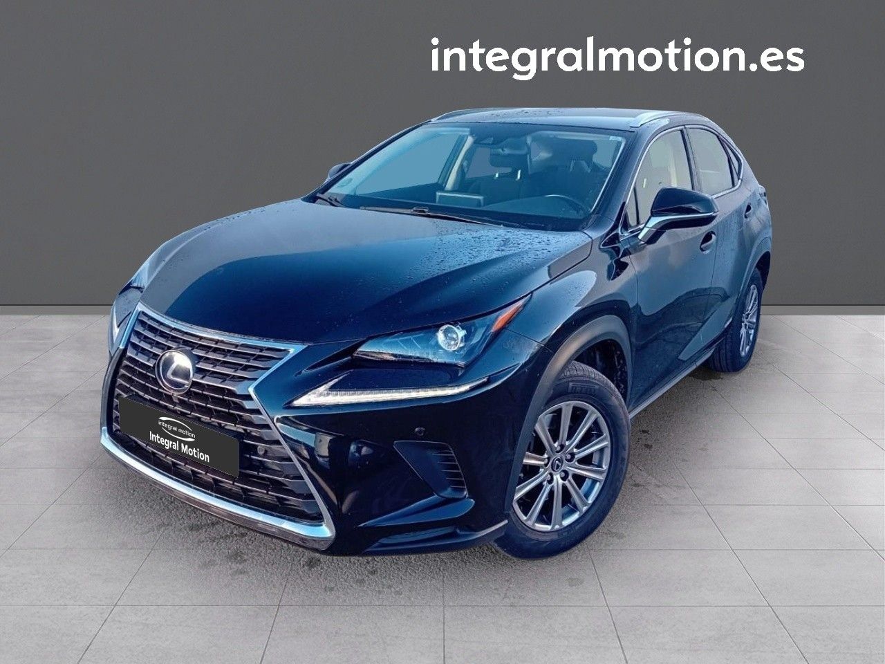 Foto Lexus NX 1