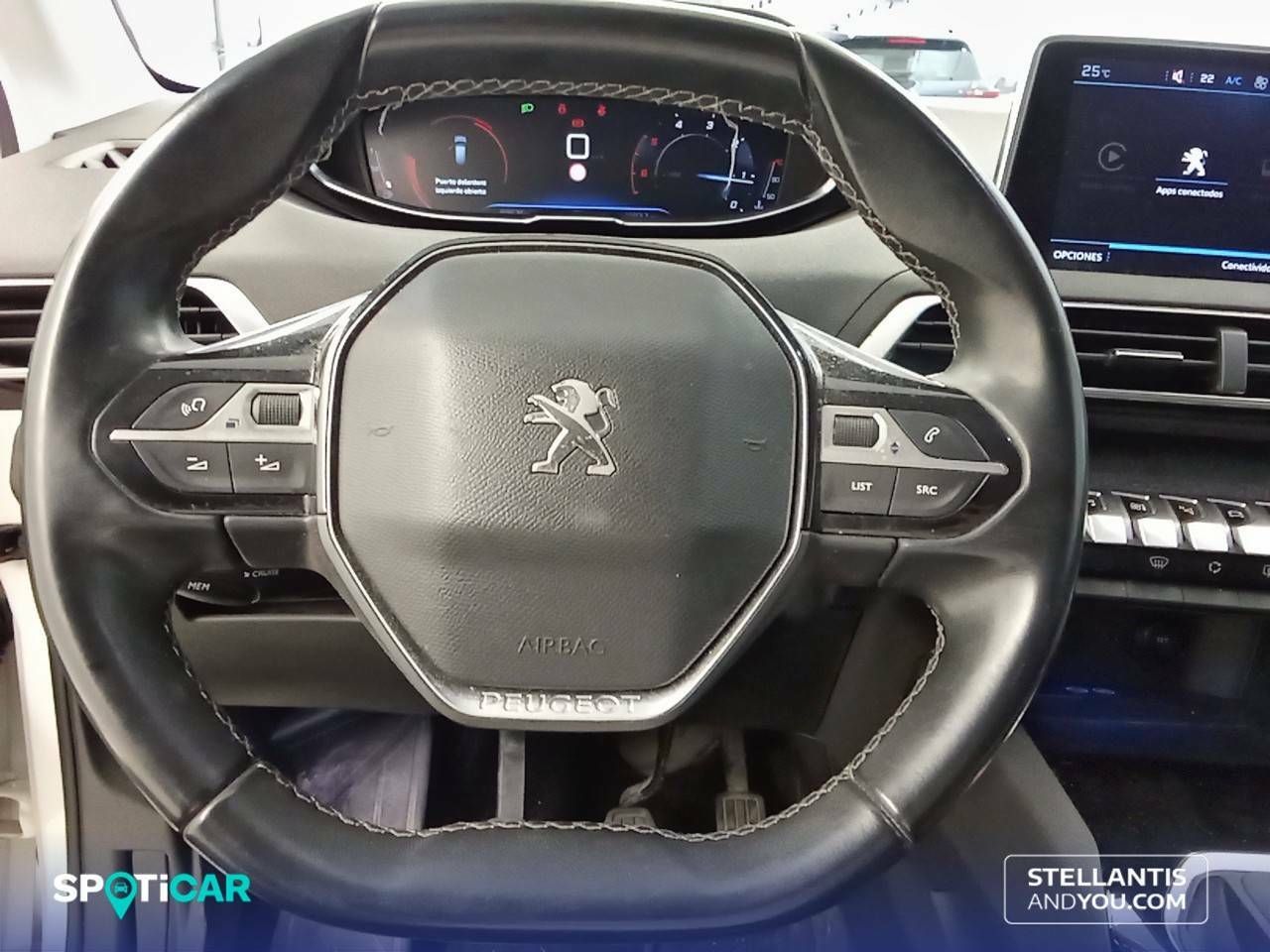 Foto Peugeot 3008 19