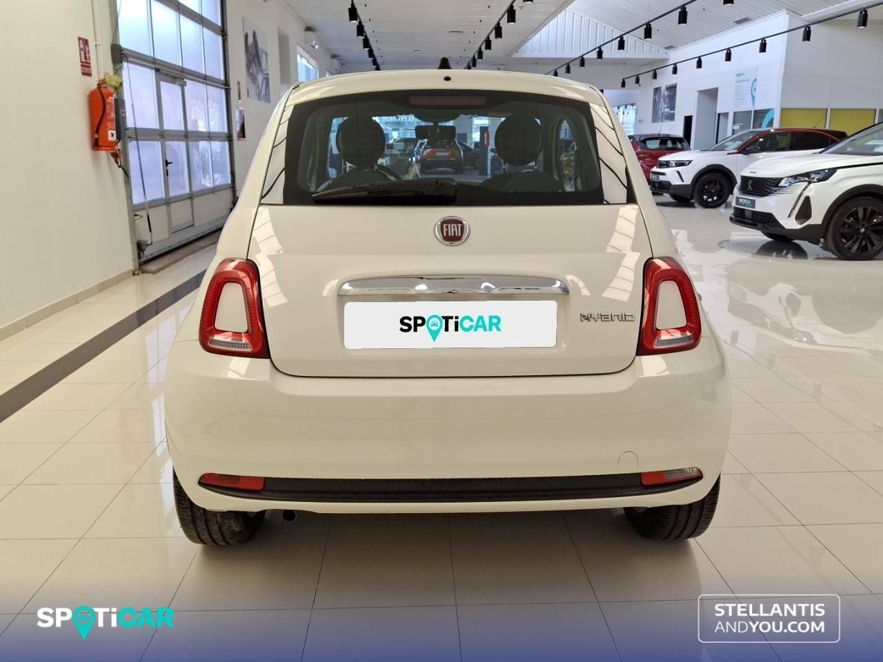 Foto Fiat 500 5