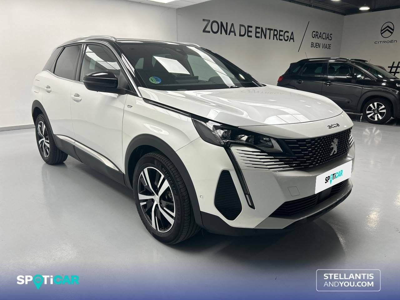 Foto Peugeot 3008 3